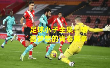 足球小子全集:绿茵梦想的青春篇章