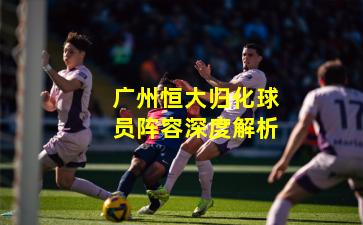 广州恒大归化球员阵容深度解析
